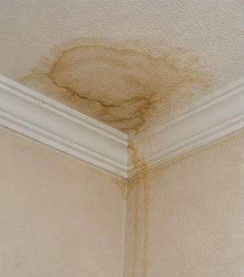 Brown water staining spreading across a ceiling into the wall corner